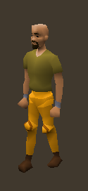 Gilded Platelegs Equiped.png