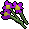 File:Purple Flowers.png