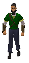 LinkTunic.png