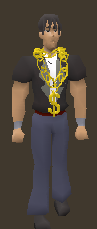 Gold chain.png