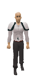 3rd Age Platebody Equiped.png