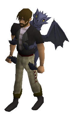 Purple Dragon Equipped.png
