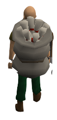 Scroll Sack Equipped.png