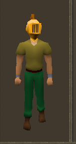 Gilded Helm Equiped.png