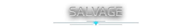Salvage banner.png