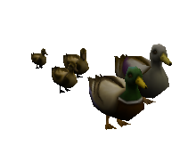 File:Quack Army (pet).png
