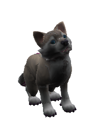 File:Coco (pet).png