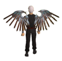 Avian Wings Equipped.png