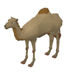 Camel Pet Equipped.png