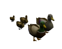 Quack Army Pet.png
