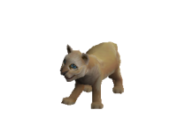 Simba Equipped.png