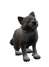 Coco (pet).png